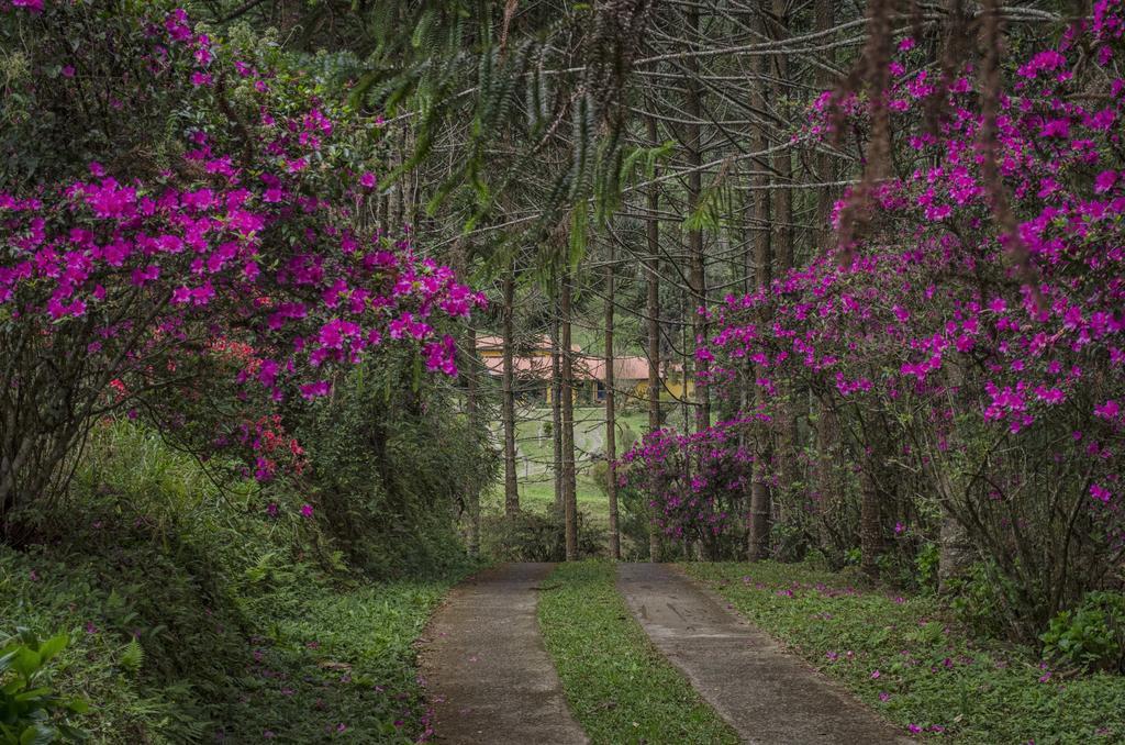 A Casa Da Fazenda Santo Antônio do Pinhal